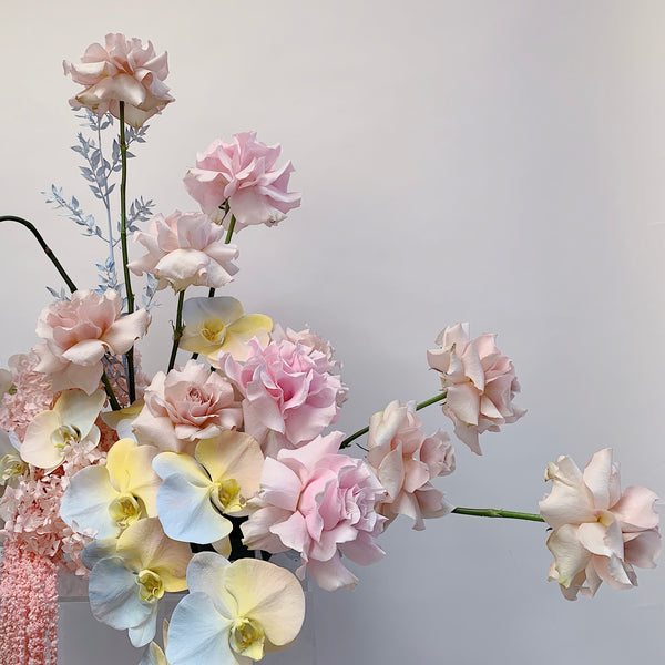 Send Flowers Auckland Roses Florist