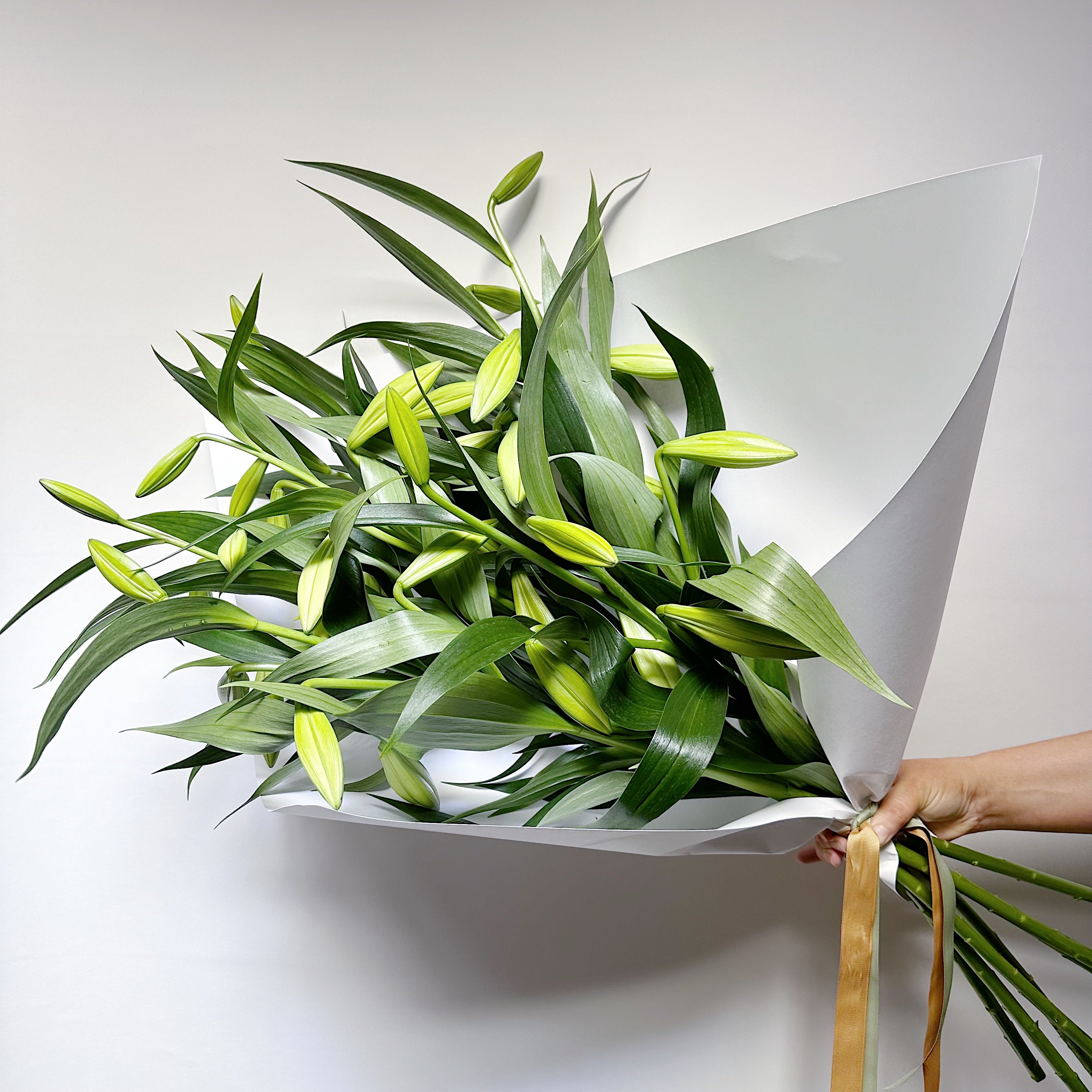 Christmas Lilies En Masse