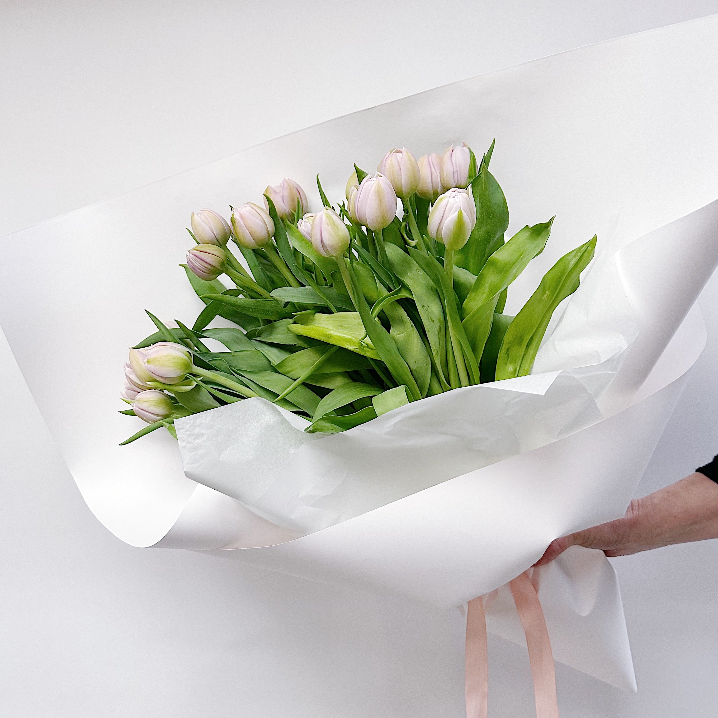 Better En Masse - Tulips