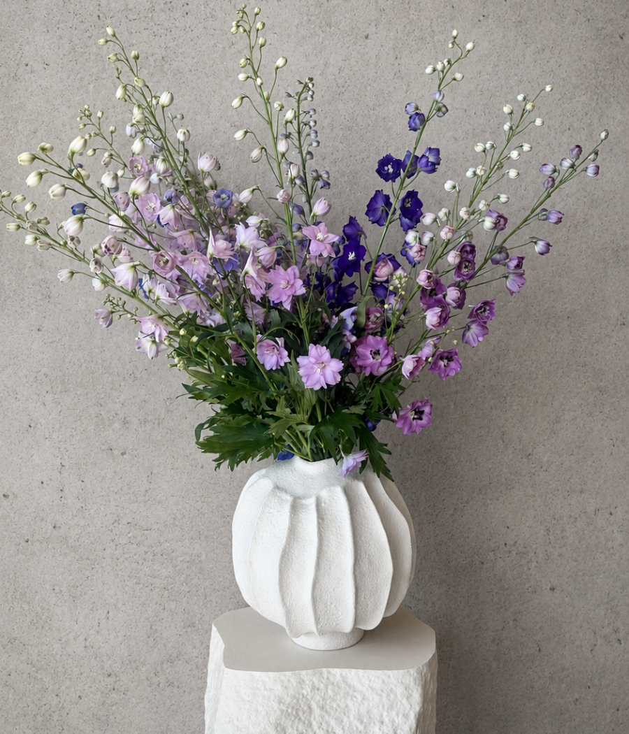 Ned Vase - Muri.