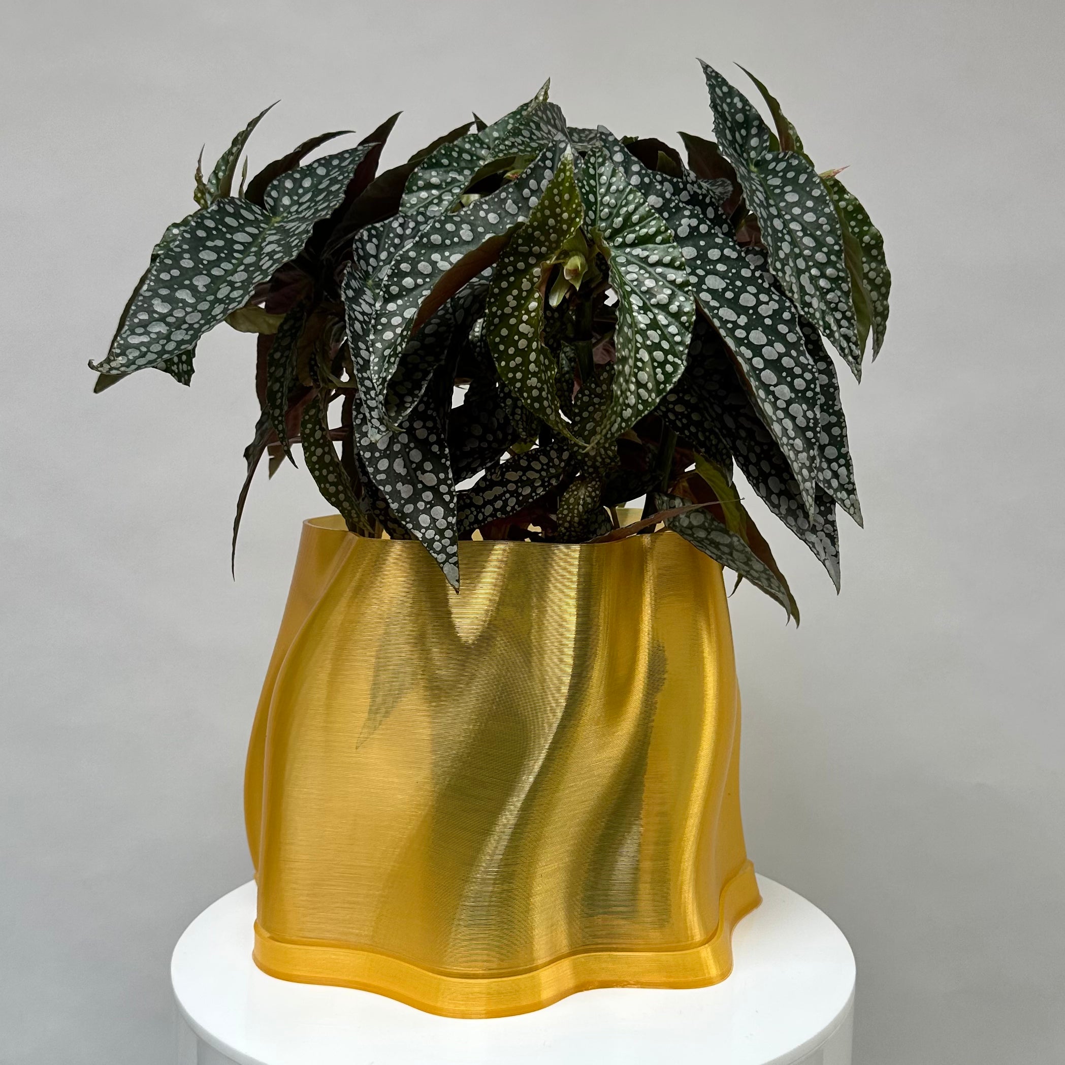Lulu Planter