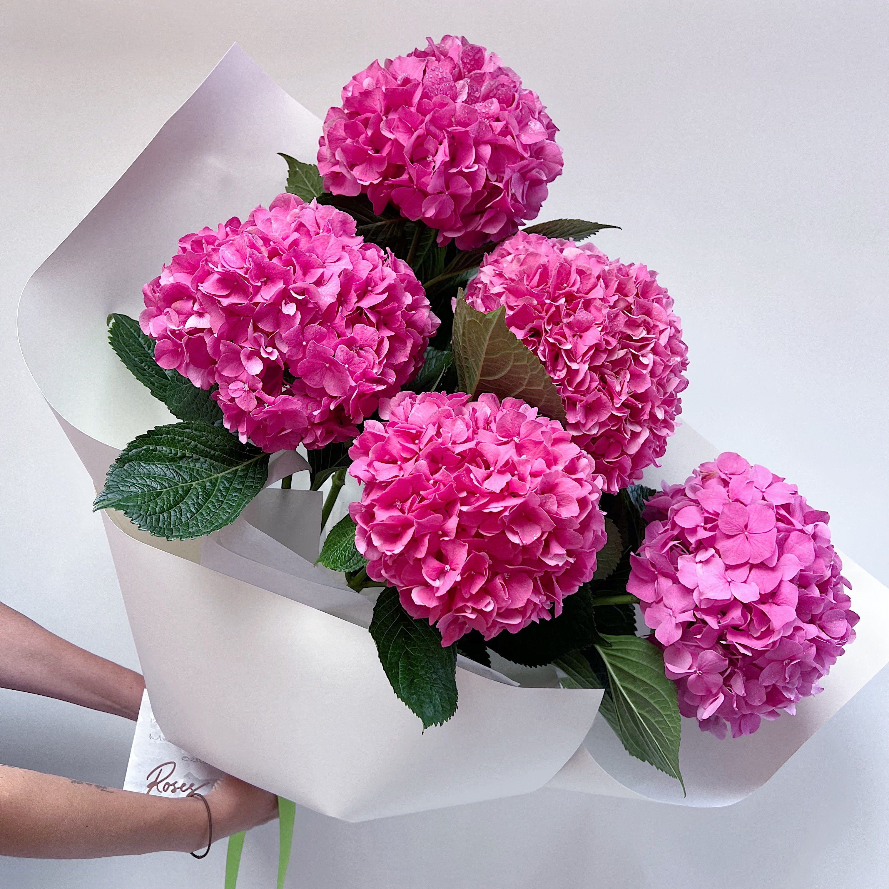 En Masse - Hydrangeas