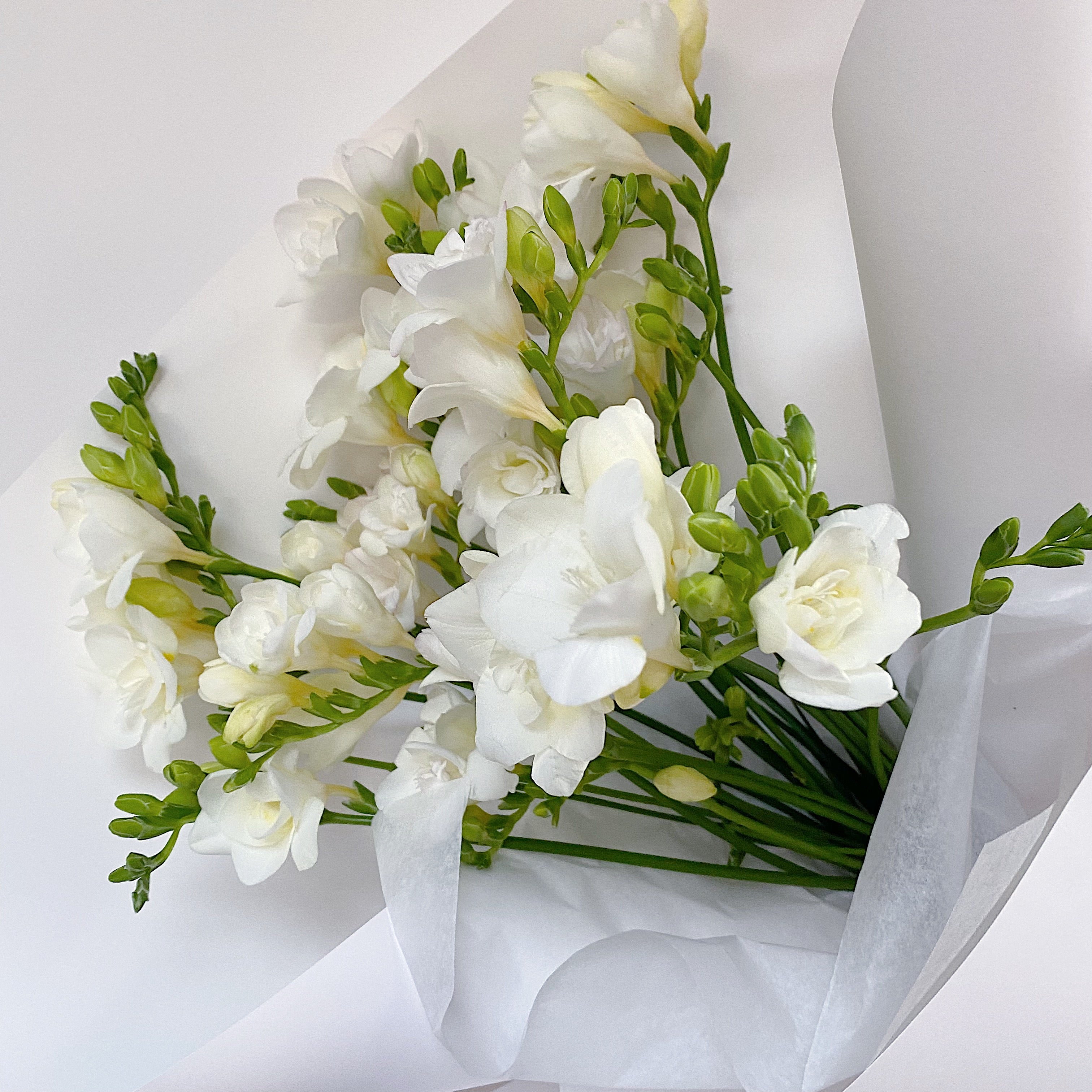 En Masse - Freesias