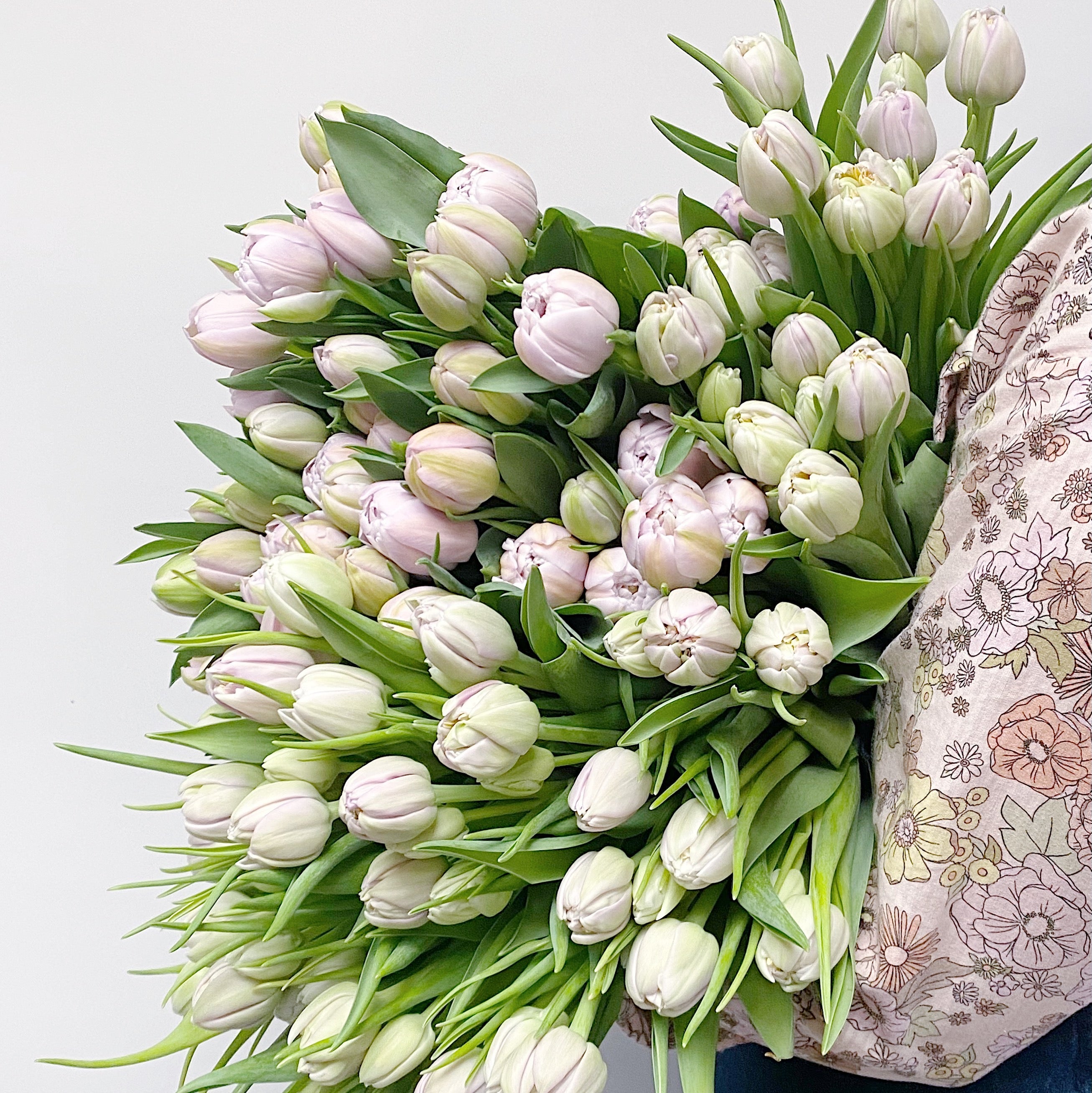 En Masse - Tulips