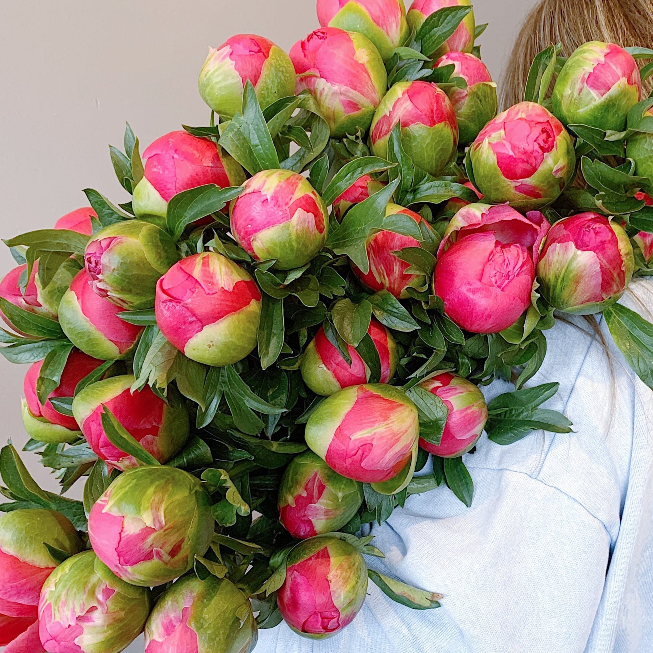 Peonies En Masse