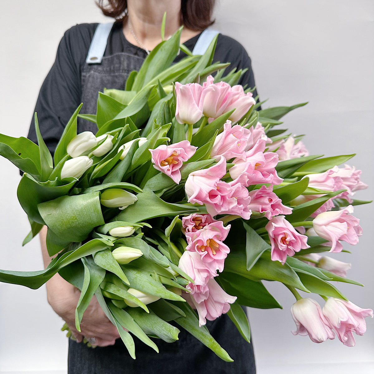 Tulips - Crown Dynasty