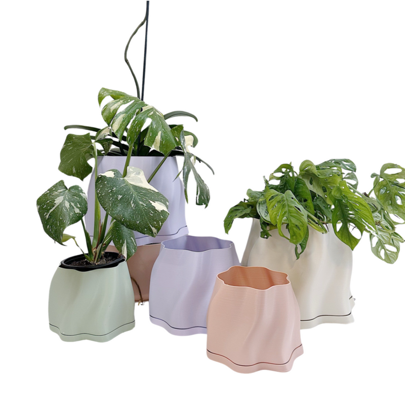 Lulu Planter