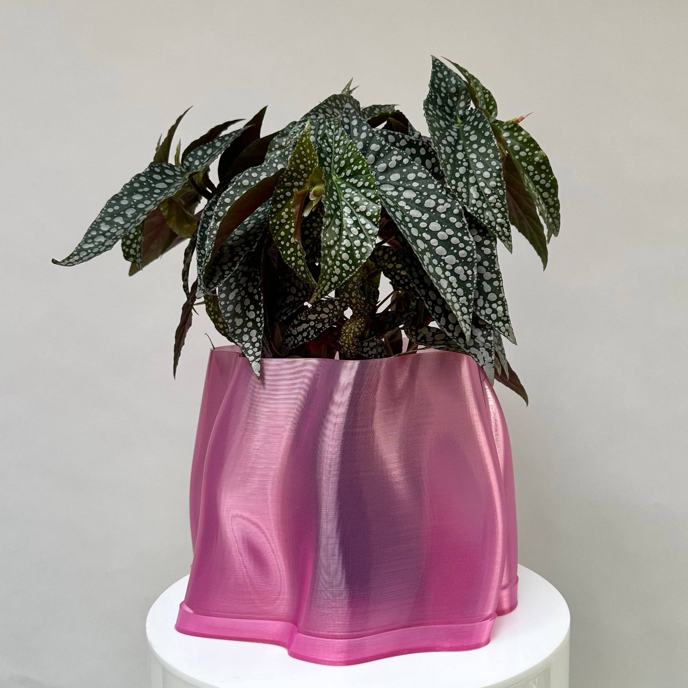 Lulu Planter