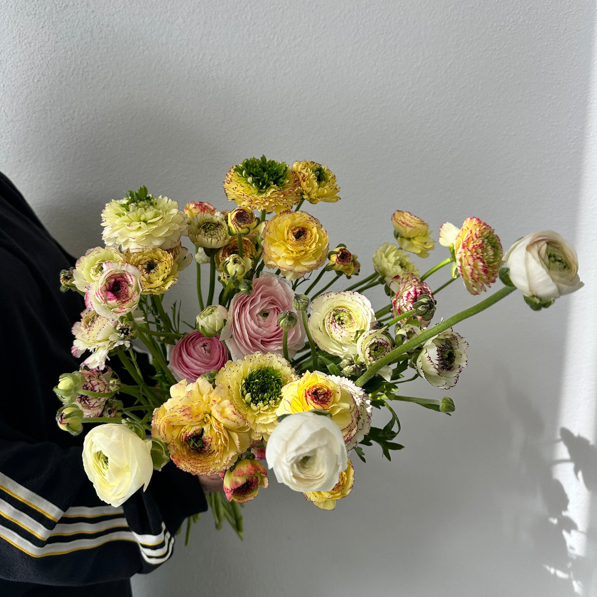 Ranunculus