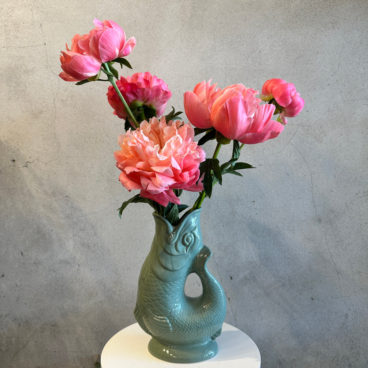 Gluggle Jug X Peonies