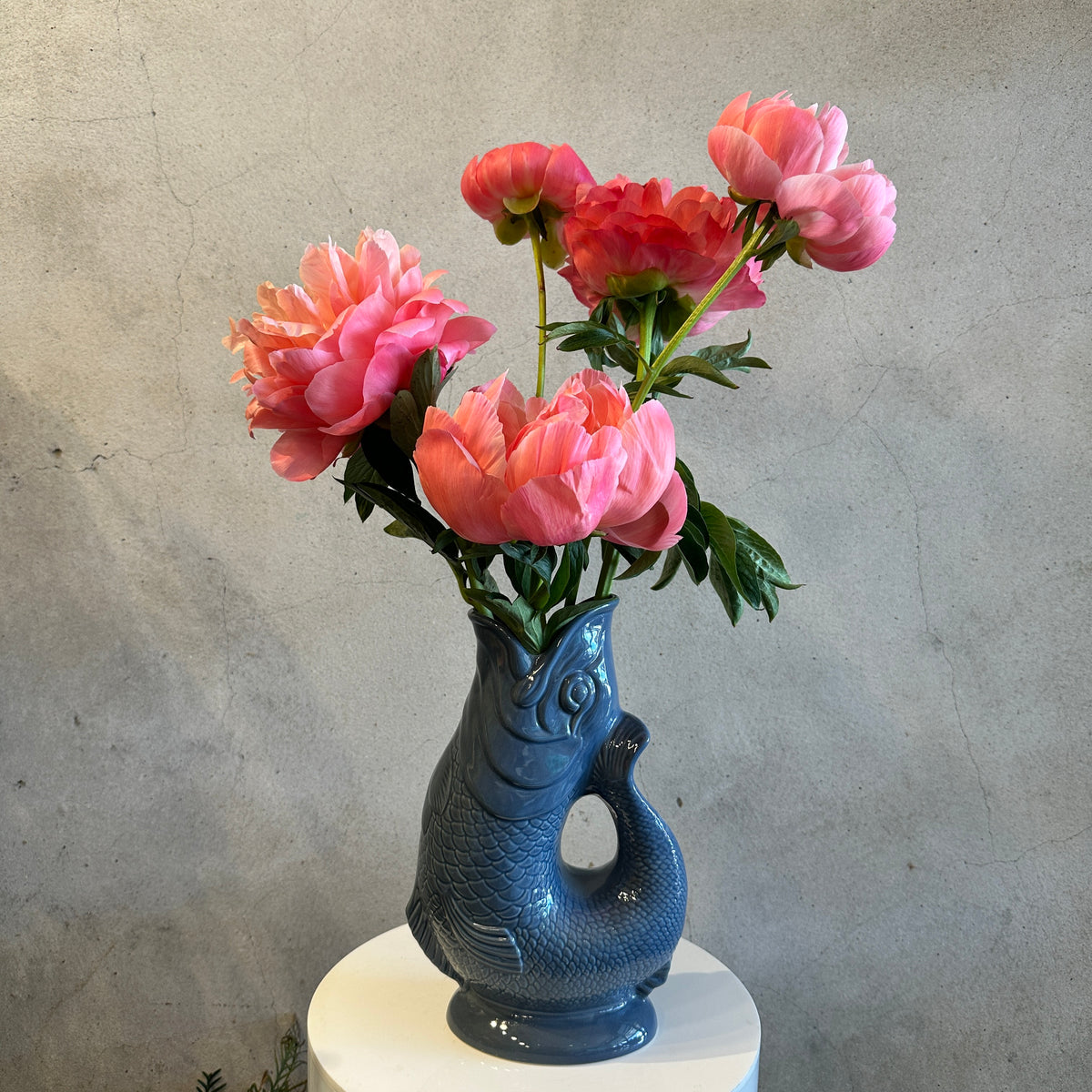 Gluggle Jug X Peonies