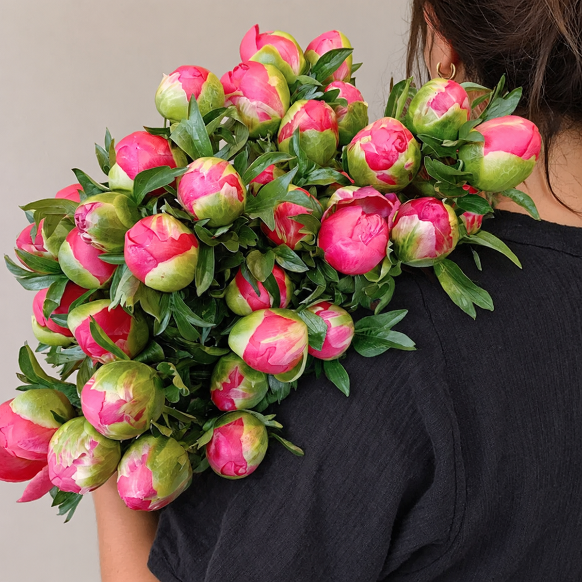 En Masse - Peonies Coral Sunset