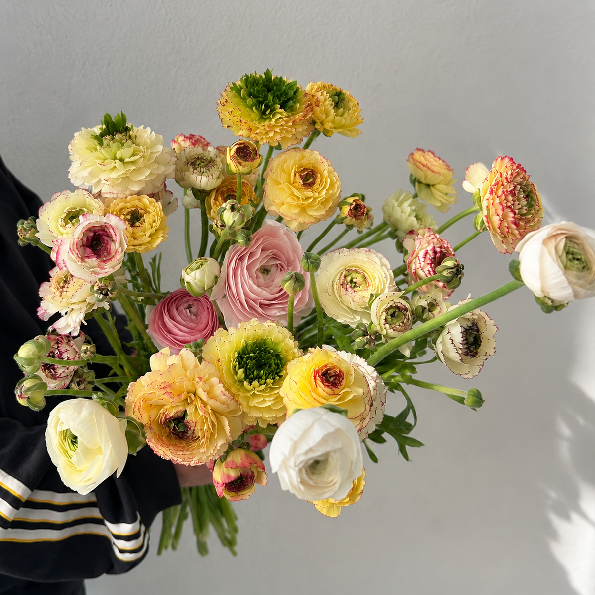 Ranunculus
