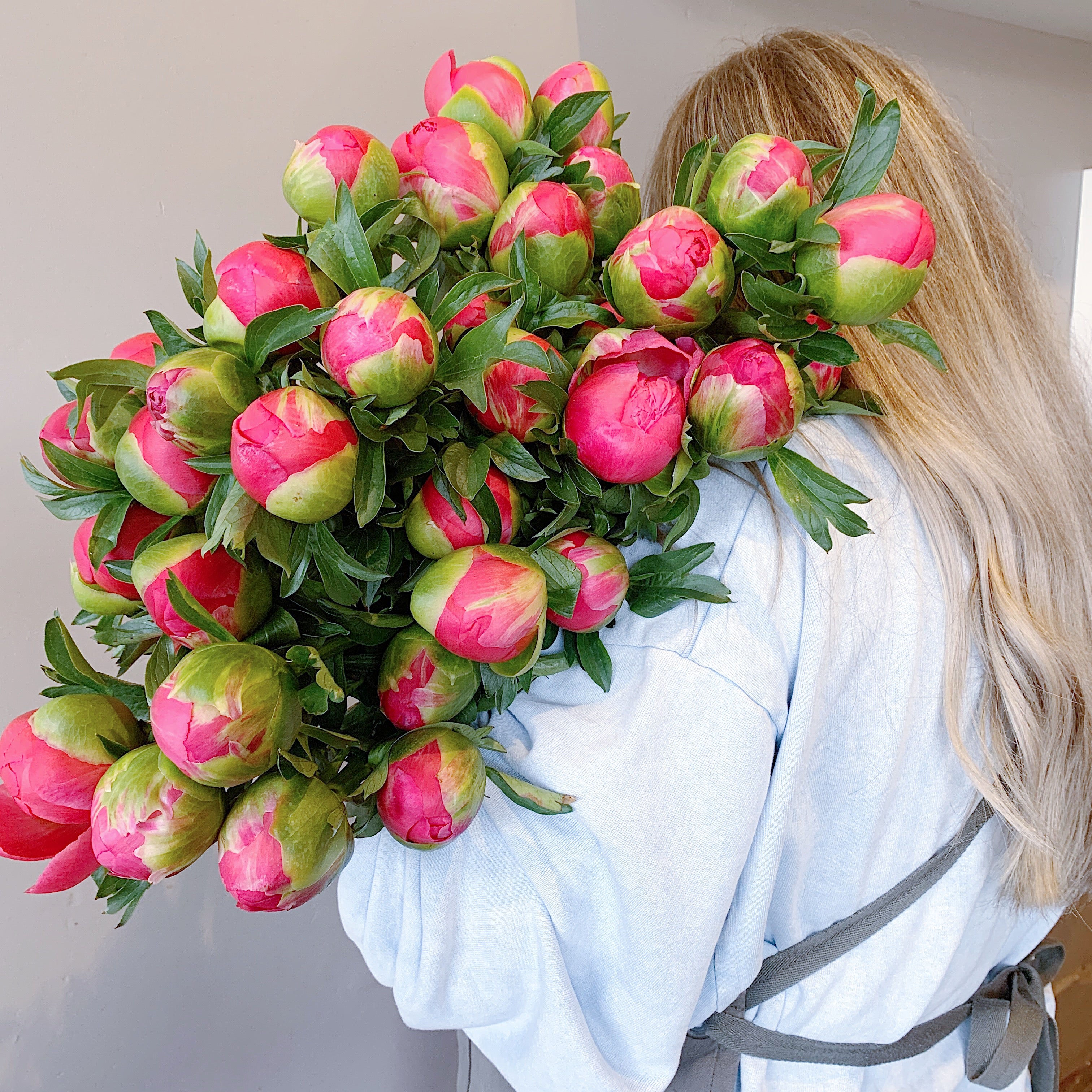 En Masse - Peonies Coral Sunset
